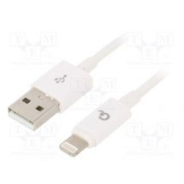 CC-USB2P-AMLM-1M-W