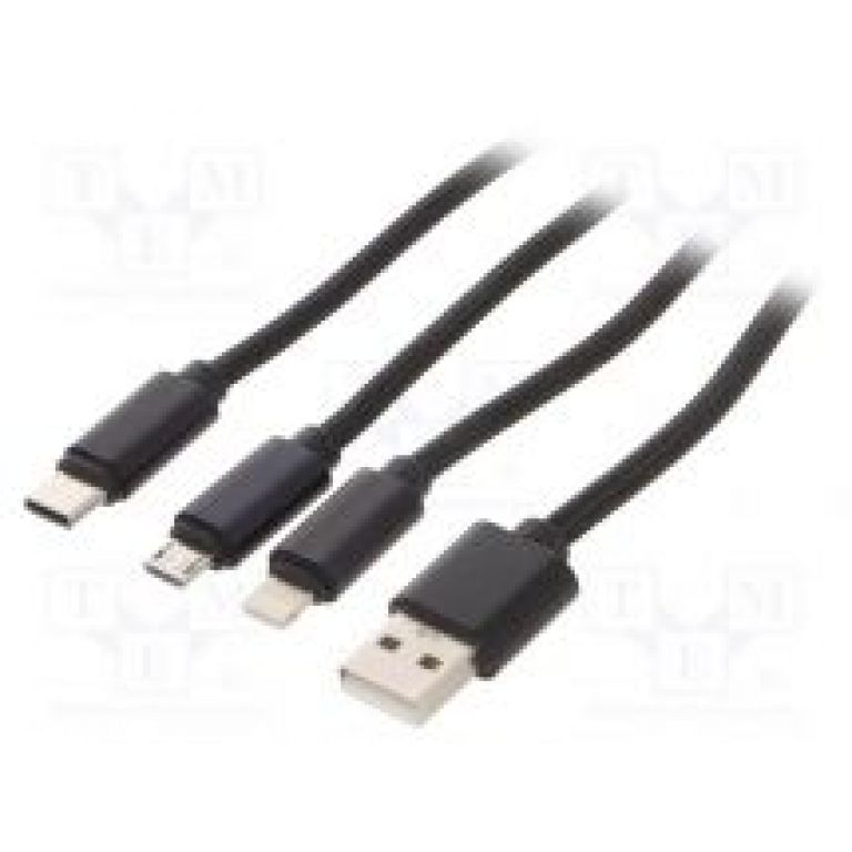 CC-USB2-AM31-1M
