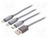 Продажа CC-USB2-AM31-1M-S